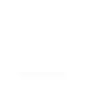 icon slot